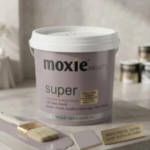 Moxie Paints Sophia 0255