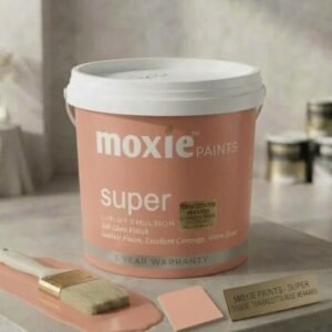 Moxie Paints Terracotta Rise E4AA93